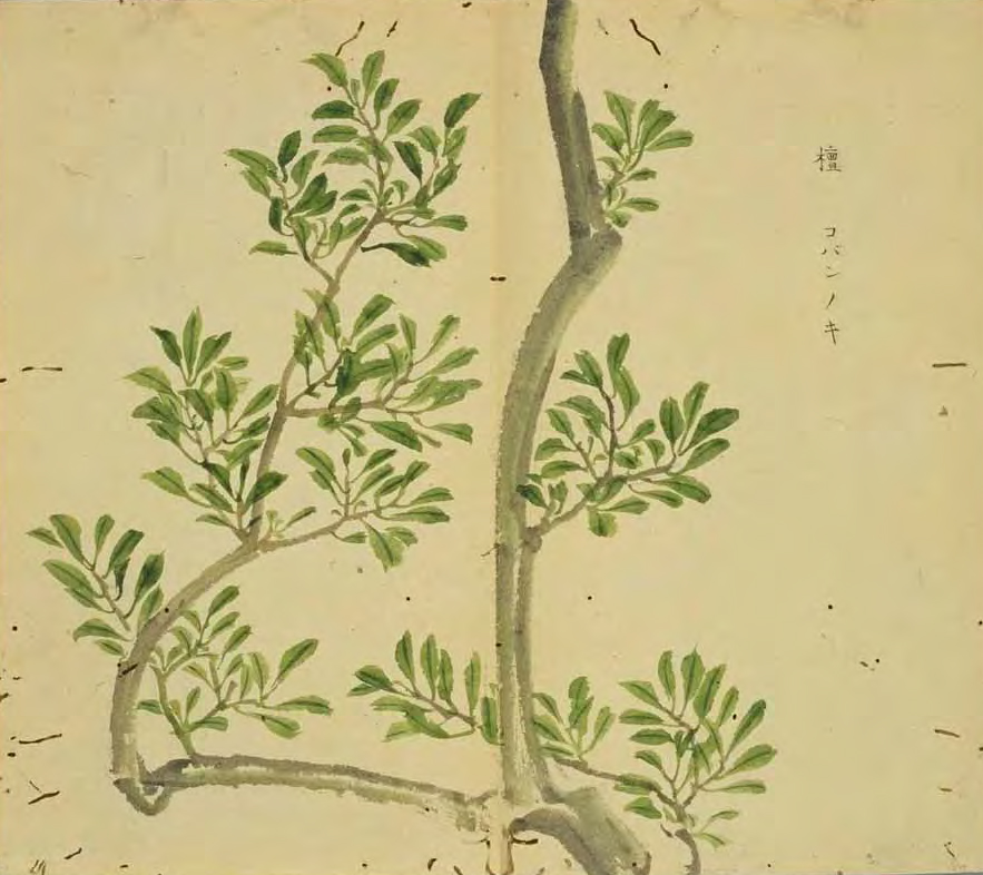 诗经（集注版）·伐檀
