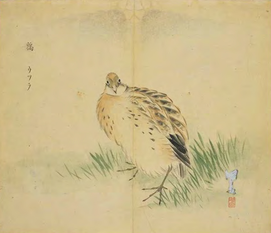 诗经（集注版）·伐檀